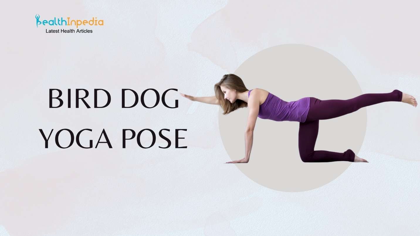 Bird Dog Yoga Pose